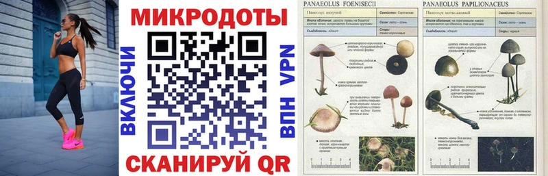 Галлюциногенные грибы прущие грибы  Заозёрск 