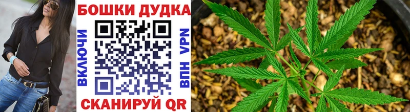 Шишки марихуана VHQ  KRAKEN ONION  Заозёрск  продажа наркотиков 